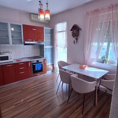 Apartmán Cozyflat In The Middle Of Tirana Exteriér fotografie